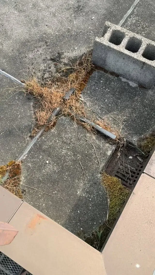 株式会社TAKAGI⁡です！